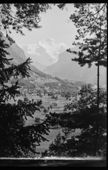 Interlaken, Rugen, Blick auf die Jungfrau