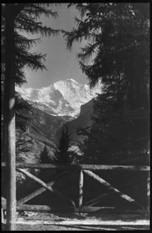 Interlaken, Rugen, Blick auf die Jungfrau