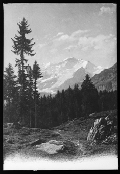 Wengen, die Jungfrau
