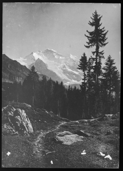 Wengen, die Jungfrau