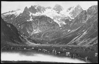 Sustenpass, Guferplattenalp, Meienreussthal