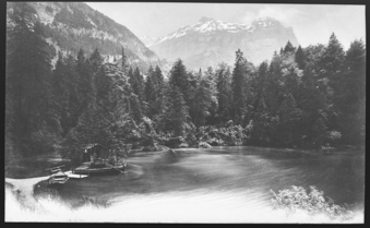 Waldsee