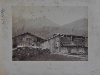 Bilten