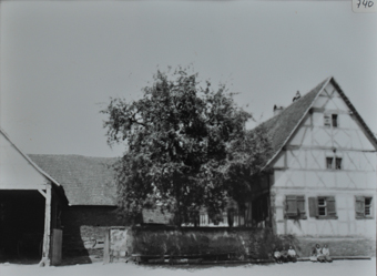 Bauernhaus, Steinbau