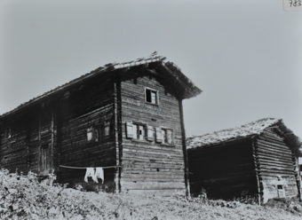 Wohnhaus, Holzbau