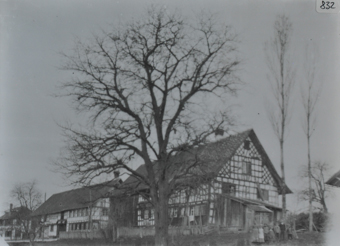 Mehrstöckiges Wohnhaus, gemauert, Satteldach mit Kamin, Anbau aus Holz vor dem Haus, vordran posieren mehrere Kinder, grosse kahle Bäume vor dem Haus, weitere Gebäude in der Umgebung