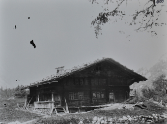 Mehrstöckiges Bauernhaus aus Holz, gemauertes Fundament, Holztreppe führt zum Hauseingang, unter der Treppe liegt gestapeltes Brennholz, Holzkarre vor dem Haus