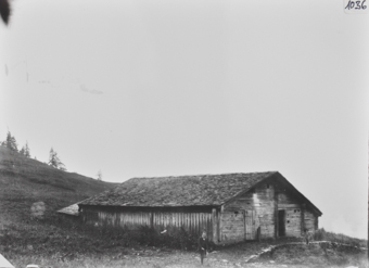 Alphütte, Holzbau
