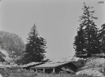 Alphütte, Holzbau
