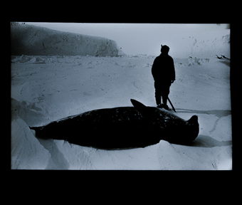 Gehört zu Dossier: Im hohen Norden