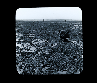 Am Strand zur Ebbezeit