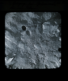 Rohrgänge der Rohrmuscheln im Felsen