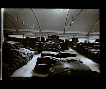 Gehört zu Dossier: Schuhfabrik