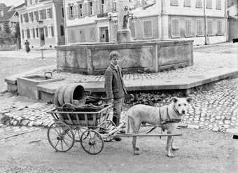 Hundewagen