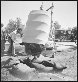 Spanischer Bürgerkrieg, Zivilflüchtlinge, Evakuierung [gehört zur Reportage «Von Valencia nach Madrid», in: Zürcher Illustrierte, 18. Juni 1937]