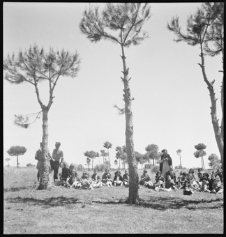 Flüchlingskinder mit Lehrern, bei einem Picknick