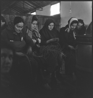 Zweiter Weltkrieg, französisches Internierungslager in Rivesaltes