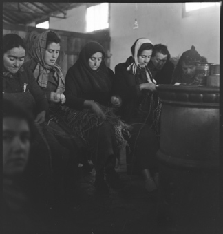 Zweiter Weltkrieg, französisches Internierungslager in Rivesaltes