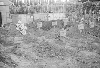 Friedhof in Rivesaltes mit jüdischen Grabschildern