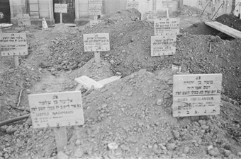Friedhof in Rivesaltes mit jüdischen Grabschildern