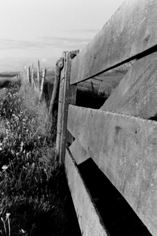 Fribourg, campagne et alentours