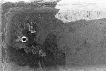 Fribourg, campagne et alentours