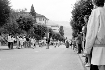 Monthey, La dent de morcles depuis Monthey