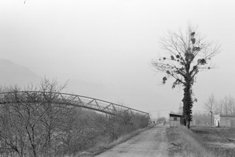 Monthey, rives du Rhône, Bex