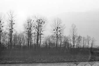 Monthey, rives du Rhône, passerelle entre Monthey et Bex