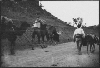 Türkei, Ankara: Landschaft; Kamele und Kameltreiber auf Landstrasse