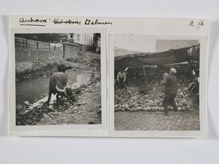 Ankara: Melonen R.IX