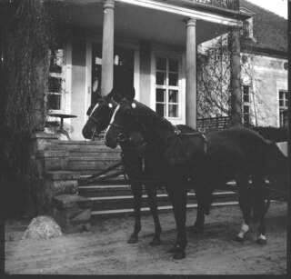 Ostpreussen: Pferdewagen (Lokalisierung unsicher); Pferdewagen vor einer Veranda