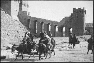 Syrien, Aleppo: Strassenszene; Eselreiter, Hintergrund Aufgang zur Zitadelle