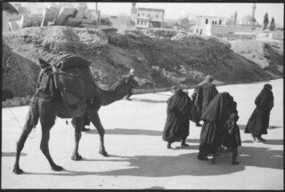 Syrien, Aleppo: Strassenszene; Strassenszene mit Kameltreibern