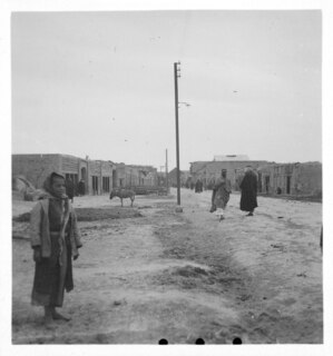 Irak: Dorfalltag; Irakisches Dorf