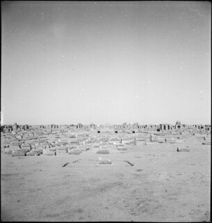 Irak, Nejaf (Nedjef): Wüstenfriedhof; Wüstenfriedhof