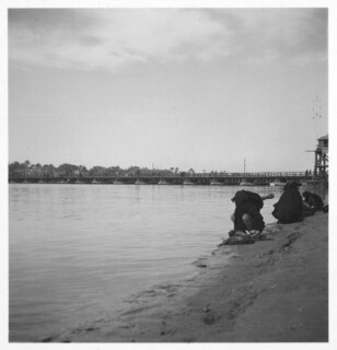 Irak, Bagdhad (Bagdad): Tigris; Frauen waschen Kleider am Ufer des Tigris