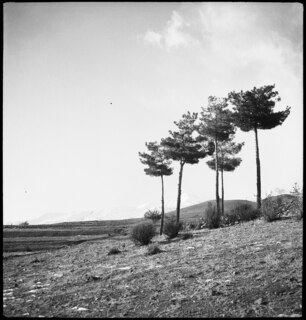 Neg. Jran | Tauschal-Schnee über Teheran [Legende auf Umschlag]