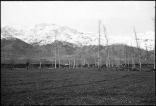 Persien: Landschaft (Lokalisierung unsicher); Im Vordergrund eine Ebene mit Bäumen, im Hintergrund schneebedeckte Berge