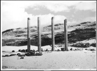 Persien, Persepolis: Ruinen; Säulen des Apadana