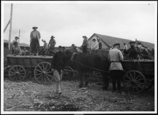 Russland, Nordossetien: Landwirtschaft (Lokalisierung unsicher); Bauern mit beladenen Wagen, welche von Pferden gezogen werden