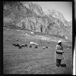 Russland, Nordossetien: Landwirtschaft (Lokalisierung unsicher); Schafhirte mit Herde, im Hintergrund Gebirge