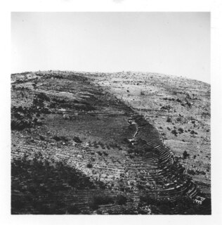Libanon, Beid-eddin (Beit ed Din, Beiteddin): Weinberg; Blick auf Hügel