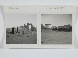 Syrien, Palmyra: Ruinen; Karteikarte: Alltagsleben der Beduinen in Palmyra; Kamelherde