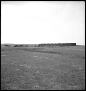 Irak, Mossul: Beduinen; Beduinenzelt
