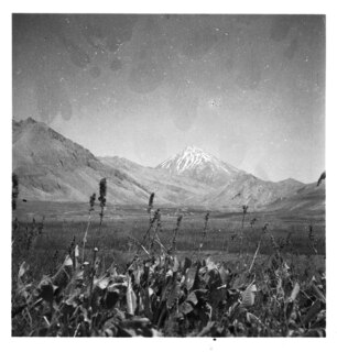 Persien, Elburs-Gebirge (Elburz): Landschaft; Schneebedeckter Demawand (Dawawand)