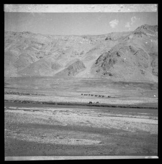 Persien, Elburs-Gebirge (Elburz): Karawane; Vorbeiziehende Kamelkarawane in der Ferne, im Hintergrund Bergkette
