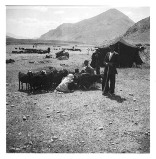 Persien, Elburs-Gebirge (Elburz): Nomaden; Menschen und Ziegenherde, vor einem schwarzen Zelt