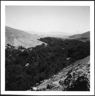 Persien, Elburs-Gebirge (Elburz): Landschaft; Blick auf ein Tal mit Bäumen