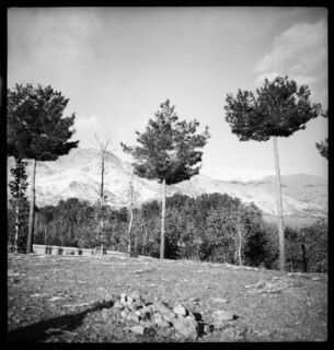 Landschaft  (Lokalisierung unsicher); Wiese mit Bäumen, im Hintergrund Schneeberge